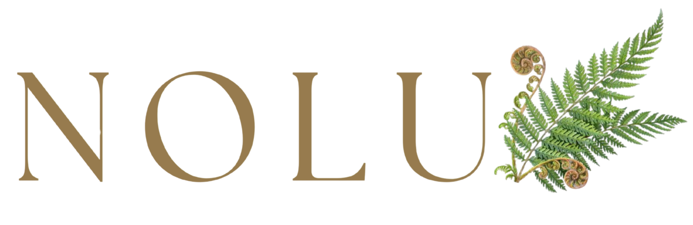 Black White Letter MD Logo Instagram Post 3 e1743186211549