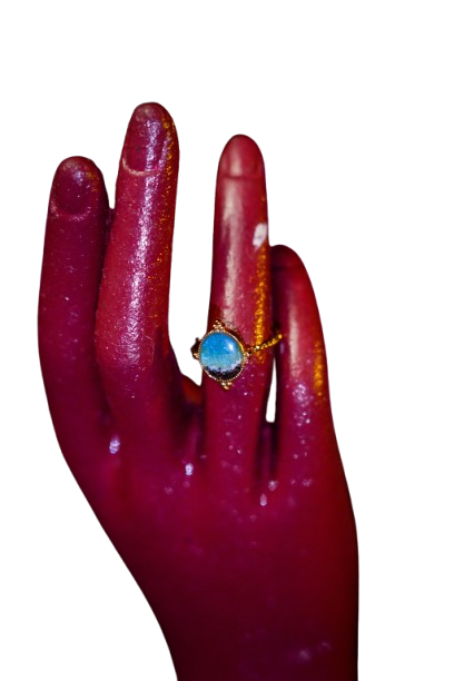 DSC1748 removebg preview