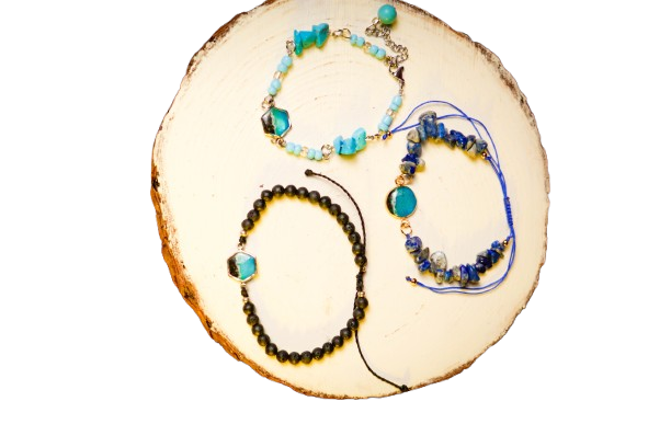 DSC1787 removebg preview