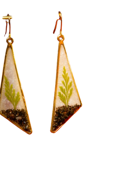 DSC1995 removebg preview