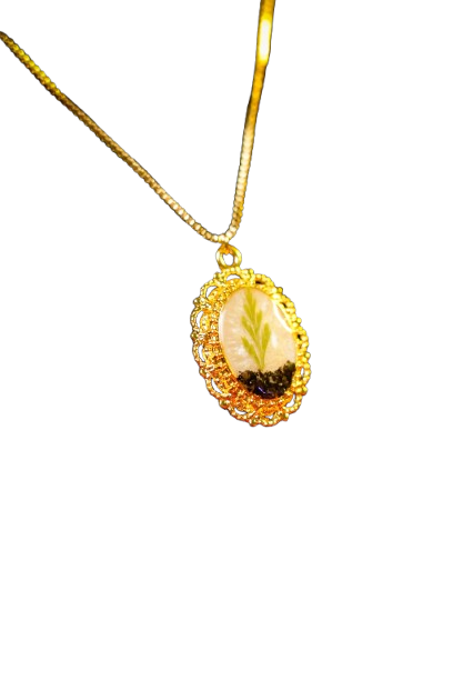 DSC2183 removebg preview